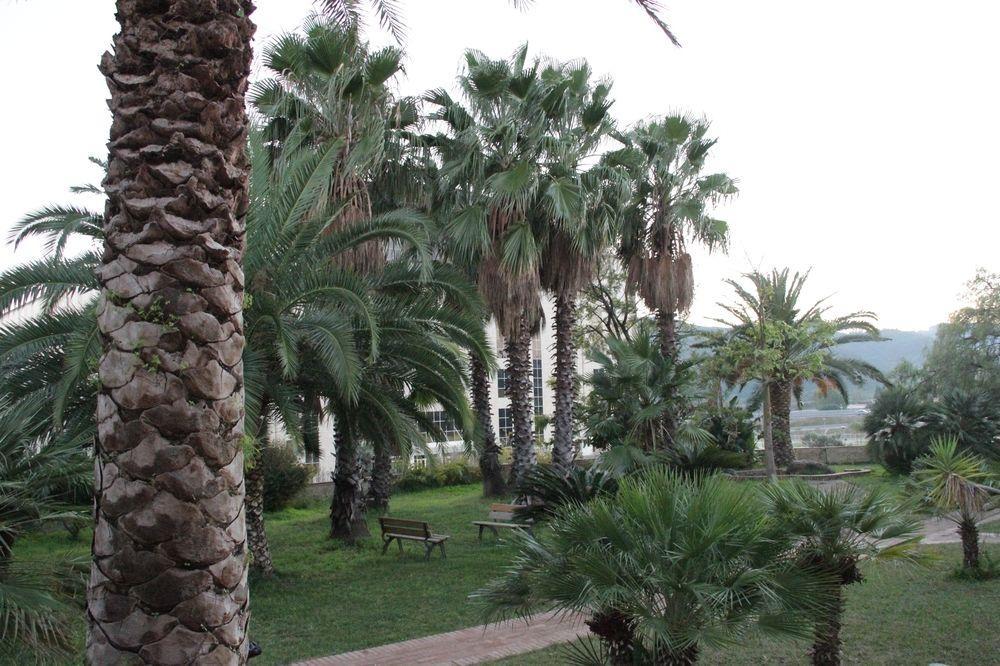 San Michele Apartments&Rooms Catanzaro Exterior foto
